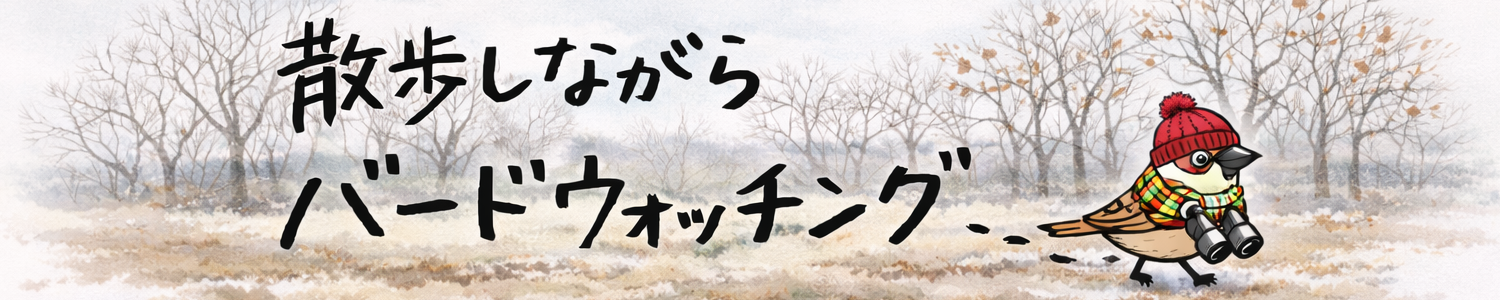 散歩しながらバードウォッチング